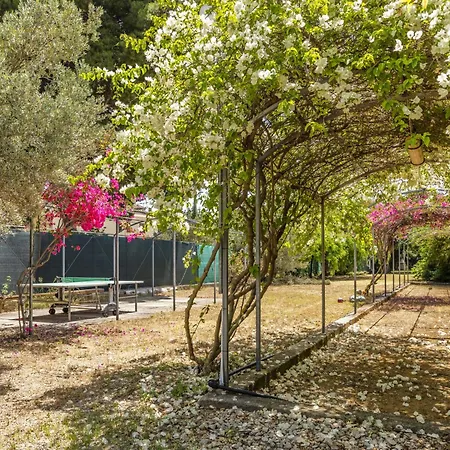 Cicladi Paros By Interhome Apartment *