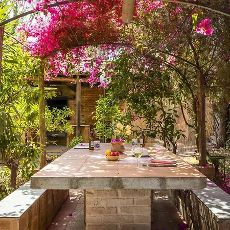 Cicladi Paros By Interhome Apartment